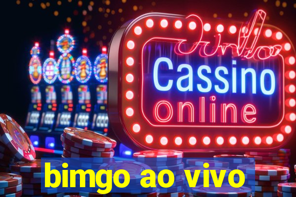 bimgo ao vivo