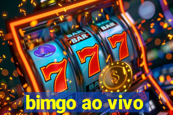 bimgo ao vivo