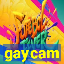 gaycam