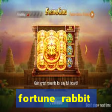 fortune rabbit teste Informational