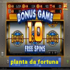 planta da fortuna