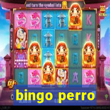 bingo perro