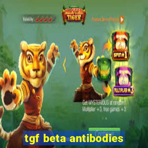 tgf beta antibodies