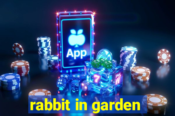 rabbit in garden