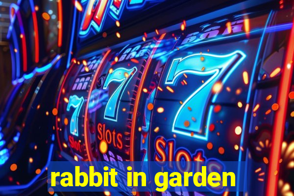 rabbit in garden