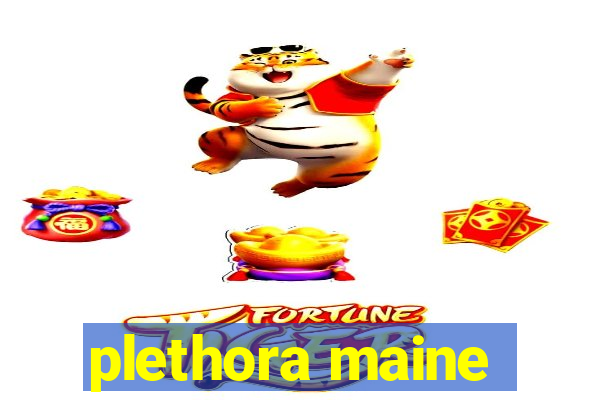 plethora maine