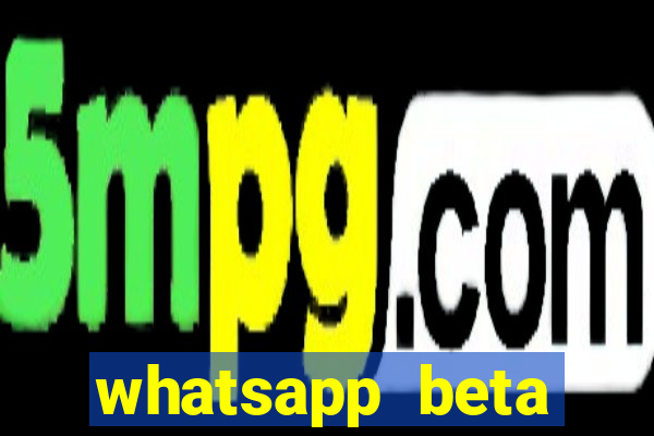 whatsapp beta mirror apk