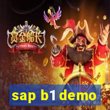 sap b1 demo