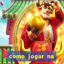 como jogar na seninha online