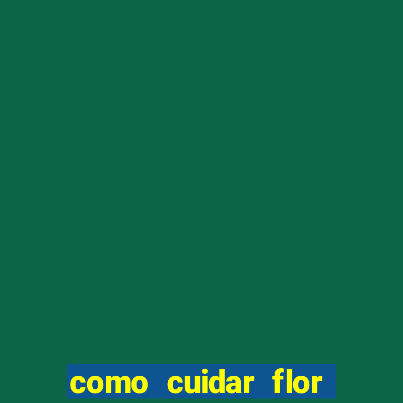 como cuidar flor da fortuna