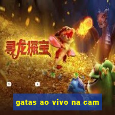 gatas ao vivo na cam