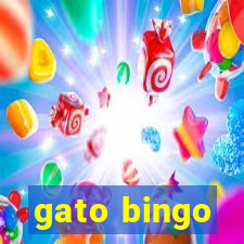 gato bingo