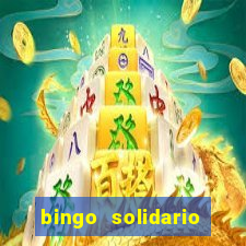 bingo solidario como organizar