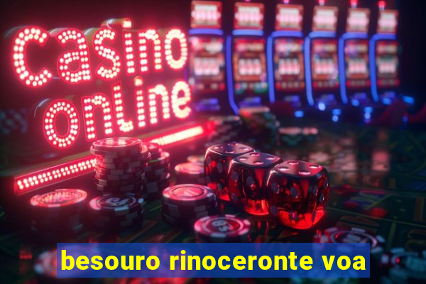 besouro rinoceronte voa