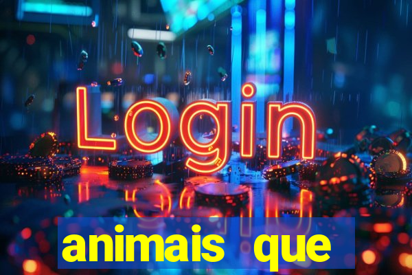 animais que produzem l茫