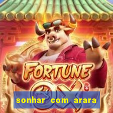 sonhar com arara jogo do bicho