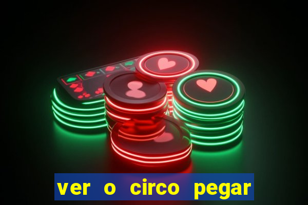 ver o circo pegar fogo significado