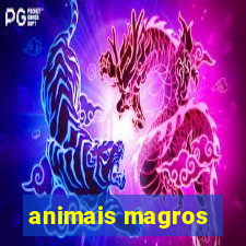 animais magros