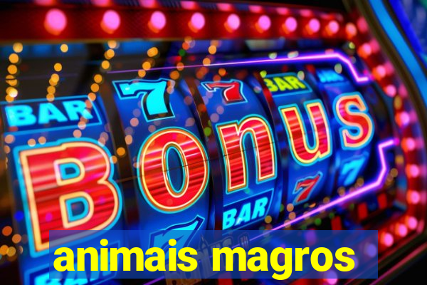 animais magros