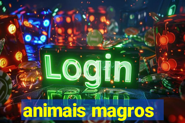 animais magros