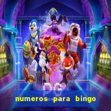 numeros para bingo de 1 a 100