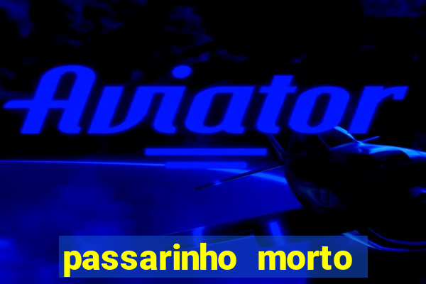 passarinho morto significado espiritual