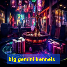 big gemini kennels