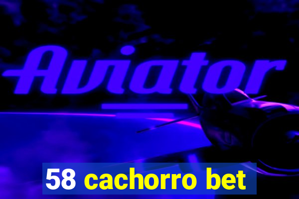 58 cachorro bet