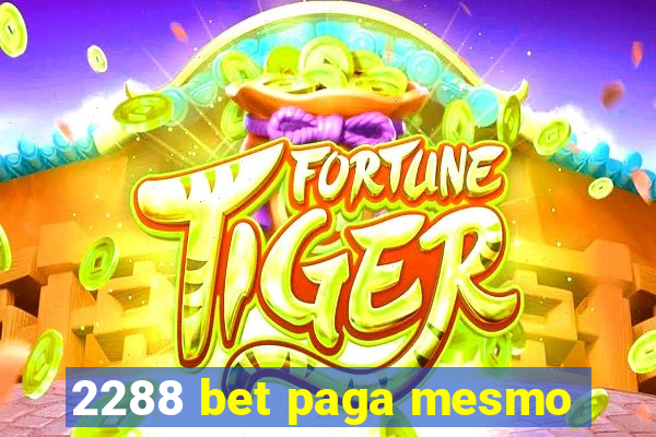 2288 bet paga mesmo