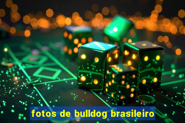 fotos de bulldog brasileiro