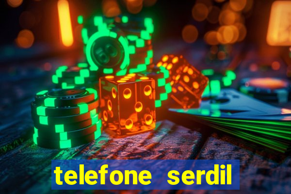 telefone serdil porto alegre