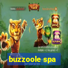 buzzoole spa