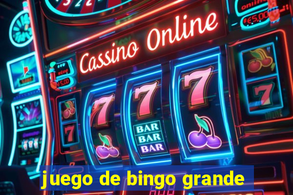 juego de bingo grande