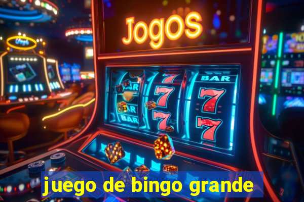 juego de bingo grande