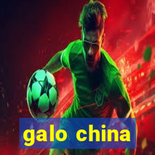 galo china