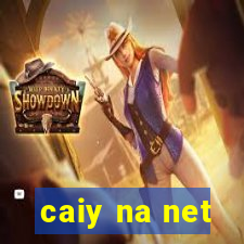 caiy na net