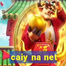 caiy na net