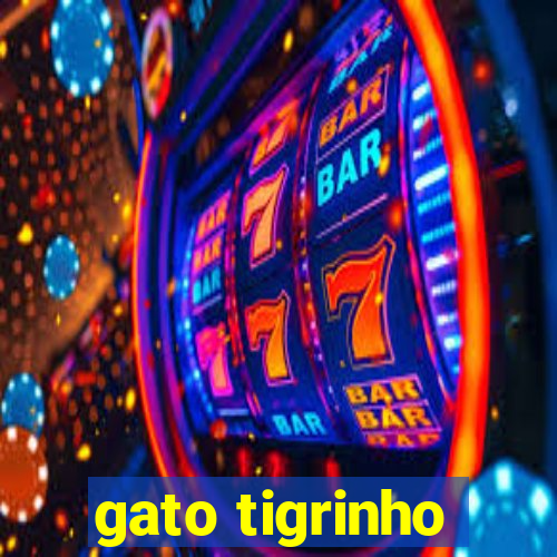 gato tigrinho