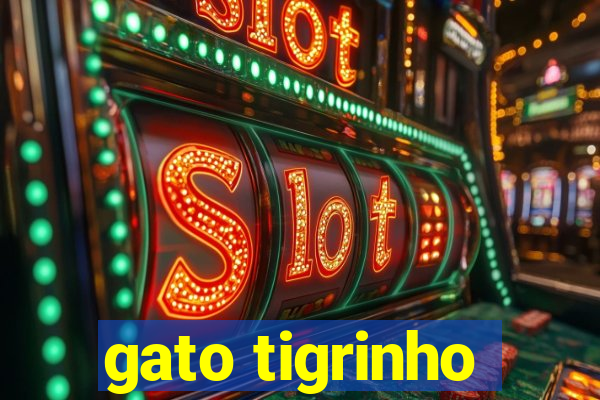 gato tigrinho