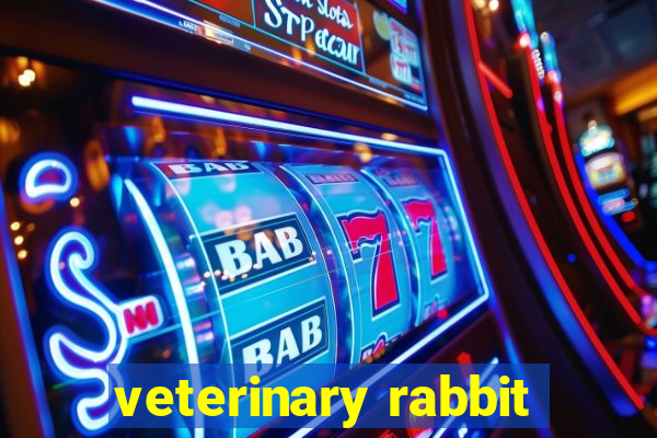 veterinary rabbit