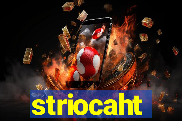 striocaht