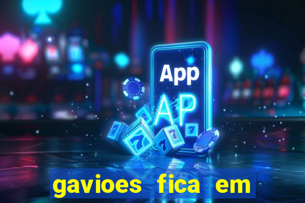 gavioes fica em qual setor