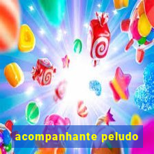 acompanhante peludo