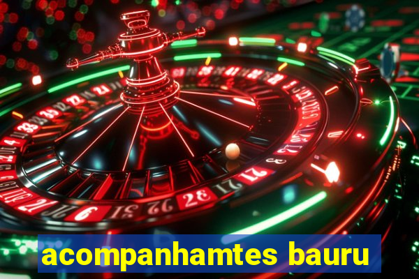 acompanhamtes bauru