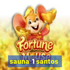 sauna 1 santos