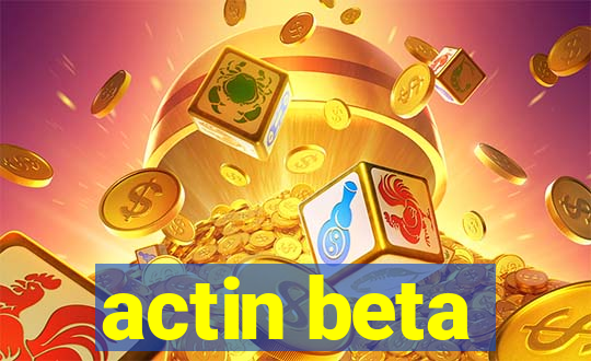 actin beta