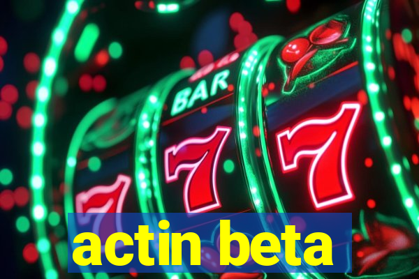 actin beta