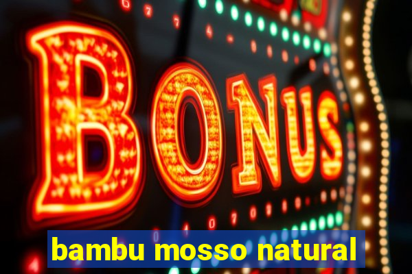 bambu mosso natural