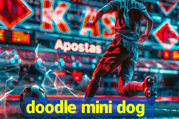 doodle mini dog