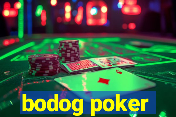 bodog poker